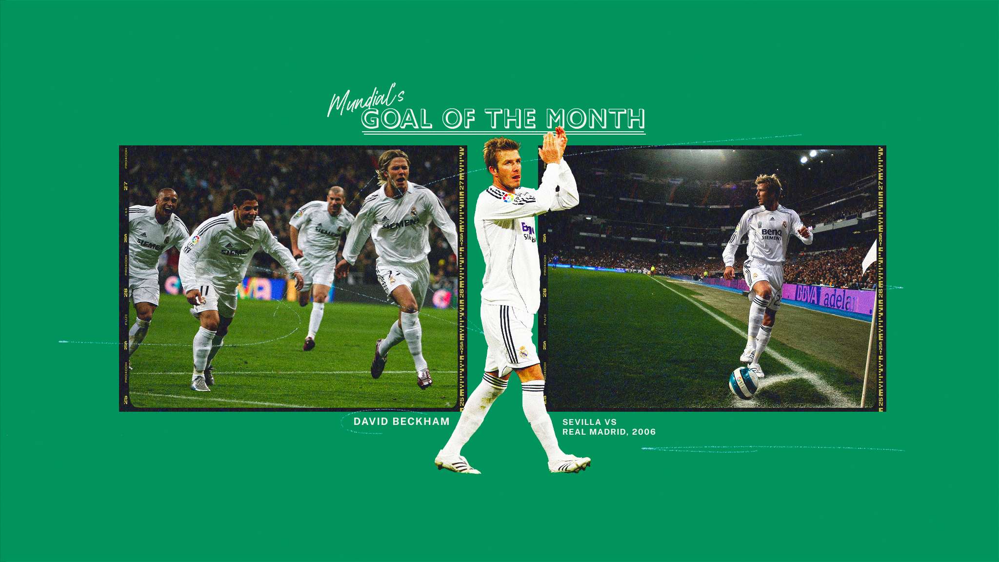 他不仅在体 他不仅在体